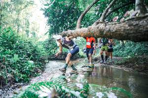 BIB: 
                            <button type="button" onclick="openModal(25443171)" class="btn btn-primary btn-sm float-right btn-popup" data-toggle="modal" data-target=".modal-high-quality">
                        <i class="fas fa-shopping-cart"></i> Add to Cart
                    </button>
                                            <button type="button" onclick="isThisMe(25443171, true)" class="btn btn-success btn-sm float-right btn-popup btn-isme hidden" data-toggle="tooltip" data-placement="bottom" title="นี่คือรูปของคุณใช่ไหม คลิกที่นี่เพื่อเอาเข้าอัลบั้ม">
                        <i class="fas fa-plus"></i> Add to album
                    </button>
                    <button type="button" onclick="isThisMe(25443171, false)" class="btn btn-warning btn-sm float-right btn-popup btn-isnotme hidden">
                        <i class="fas fa-ban"></i> Remove from album
                    </button>